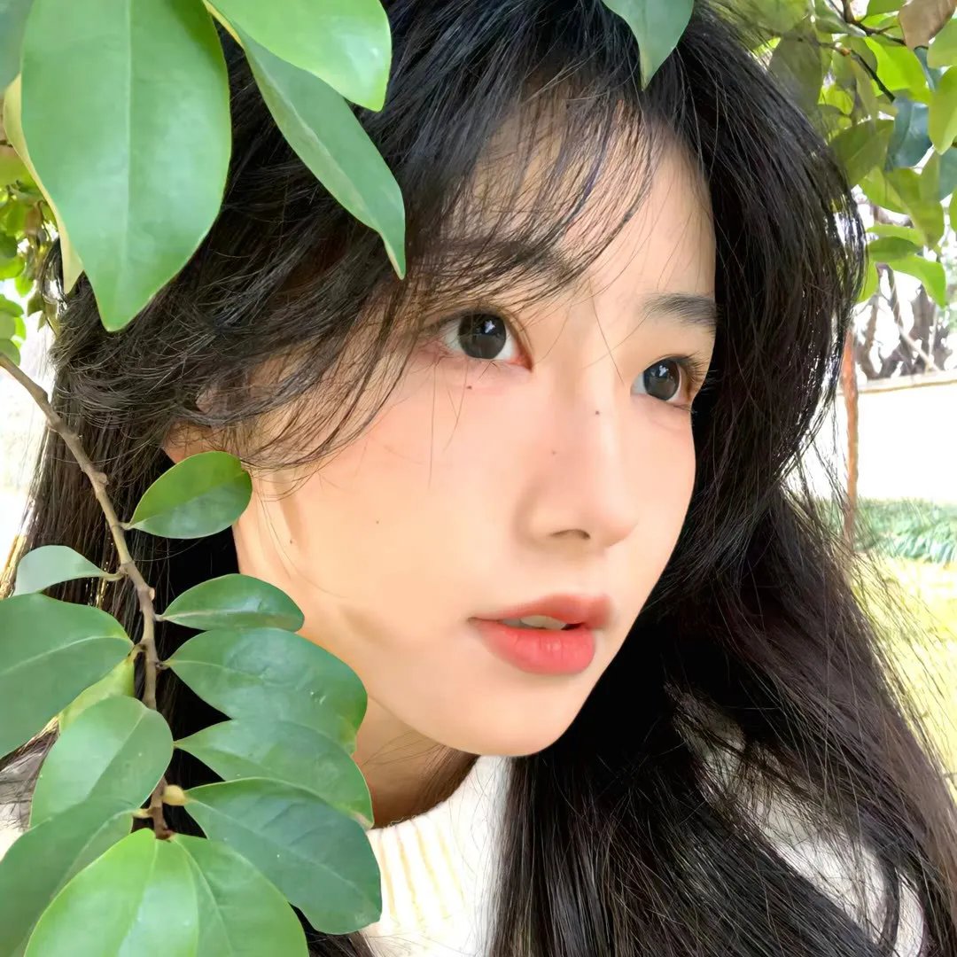 欧洲夜生活