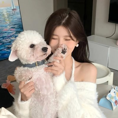 狗也爱钻石